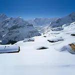 Bienli Oben By Interhome Lejlighed Grindelwald