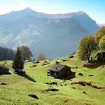Bienli Oben By Interhome Lejlighed Grindelwald