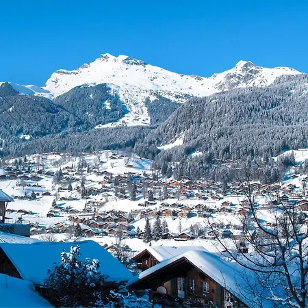 Bienli Oben By Interhome Grindelwald