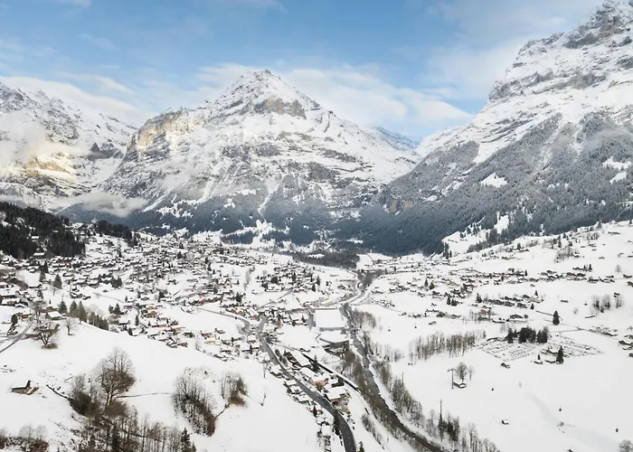 Bienli Oben By Interhome Lejlighed Grindelwald