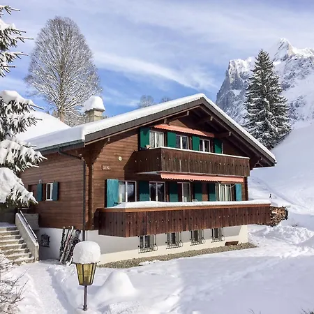 Bienli-2 By Interhome Apartmán *