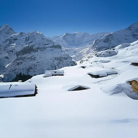 Bienli-2 By Interhome Apartmán Grindelwald