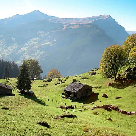 Bienli-2 By Interhome Apartmán Grindelwald