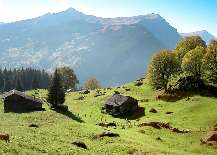 Bienli Oben By Interhome Apartman Grindelwald